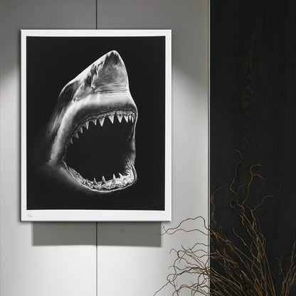 Modern Canvas Painting Shark Canvas Painting